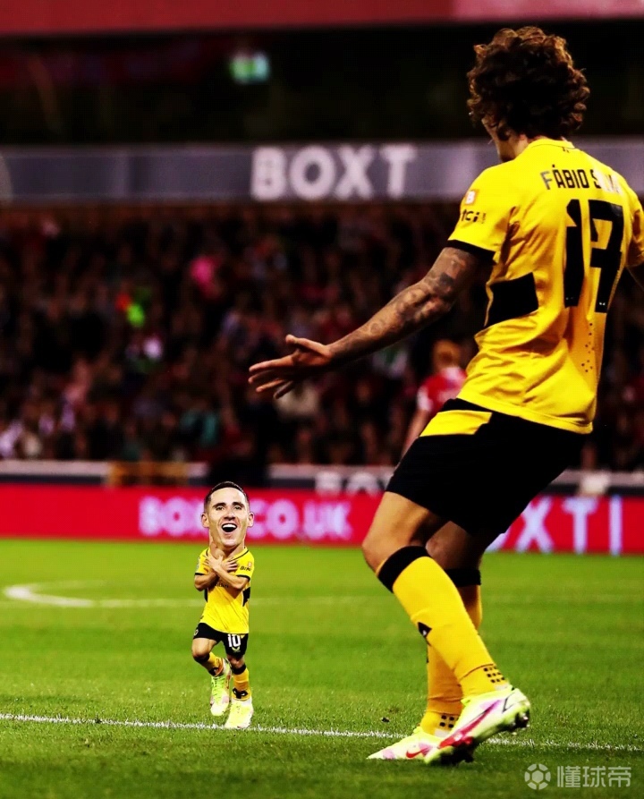 懂球帝专业版ios下载_(懂球帝app下载安装苹果版)