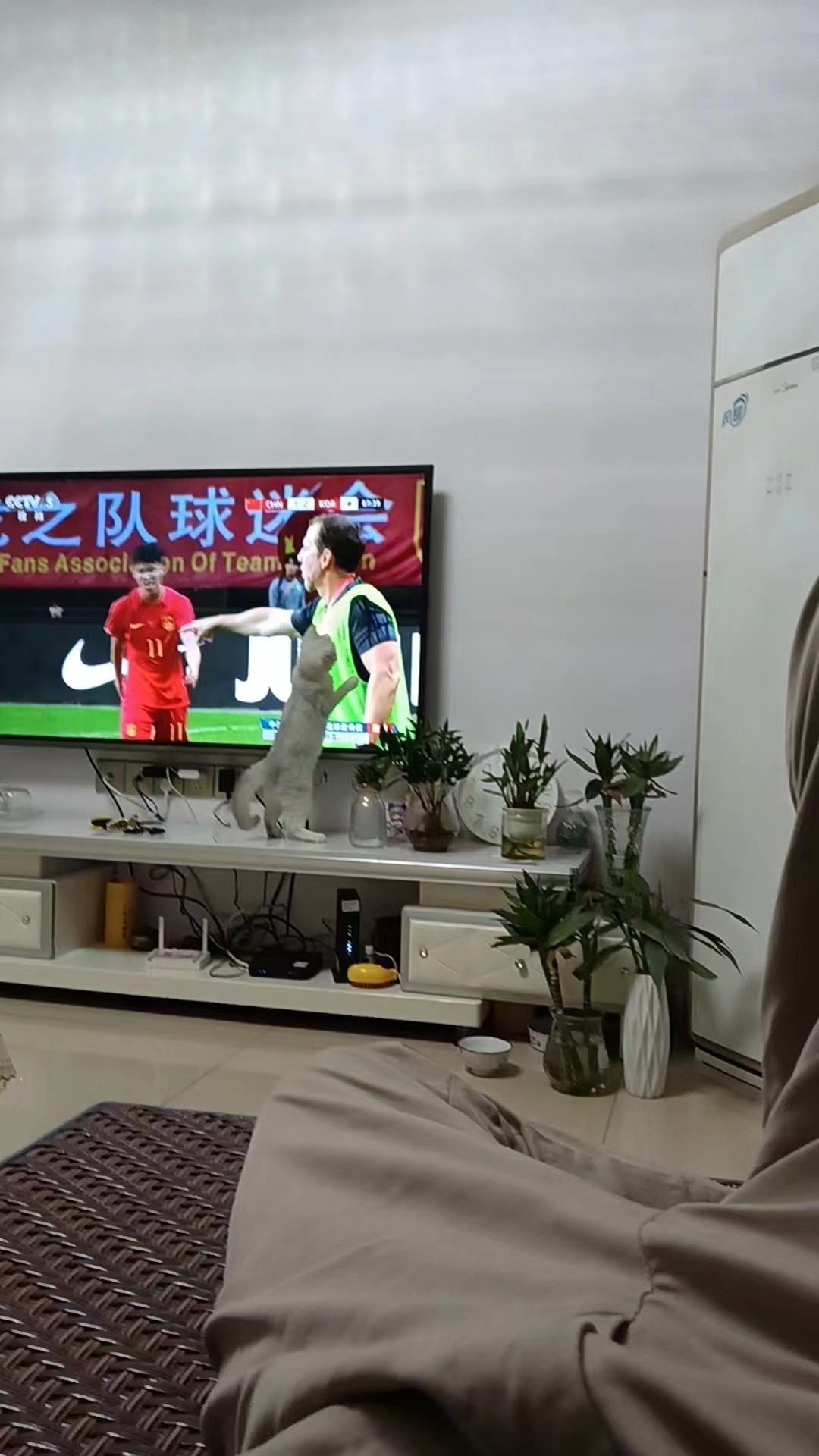 看球宝赛事直播_(看球宝比赛直播在线观看回放)