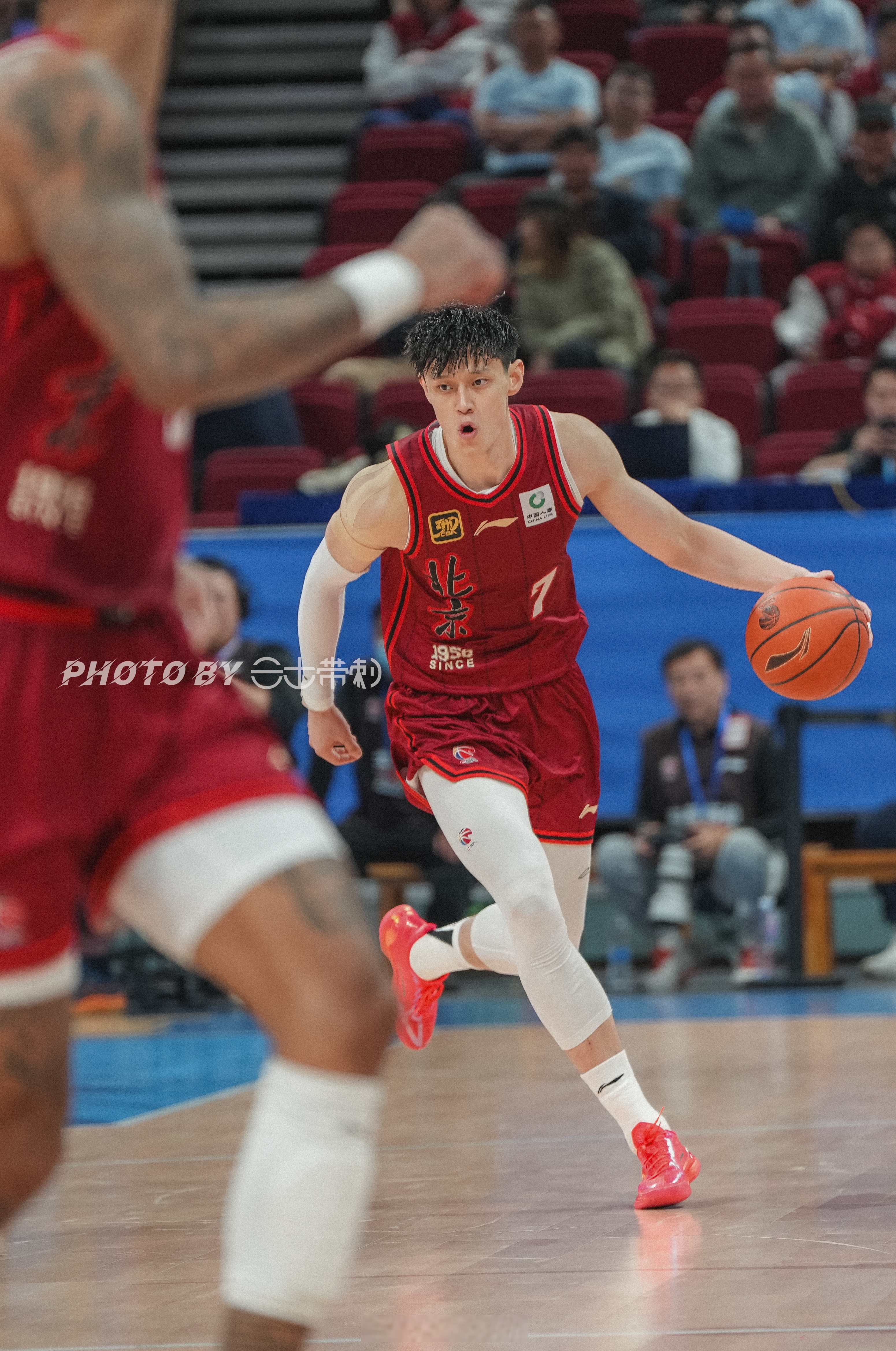 青岛vs北京_(青岛vs北京鸭) 青岛vs北京_(青岛vs北京鸭)