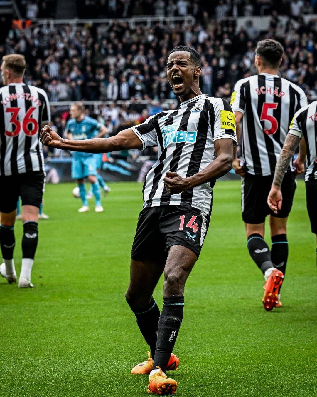 包含记者:雅克松仍可能加盟纽卡取代伊萨克的词条 包含记者:雅克松仍可能加盟纽卡取代伊萨克的词条