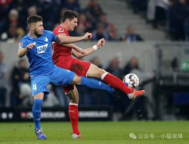 德甲女：霍芬海姆女足VS拜仁女足