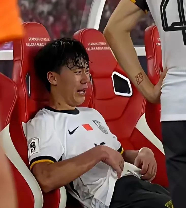 世预赛尼日利亚4-1加蓬向世界杯资格迈进一步的简单介绍