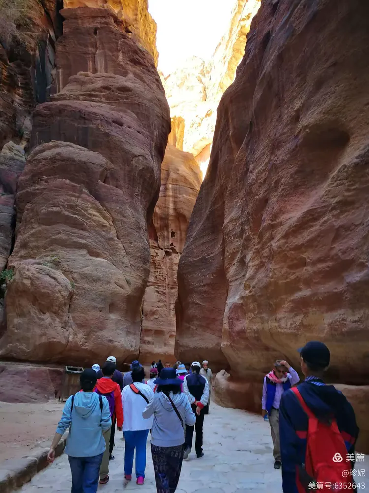 约旦甲：安曼FCVS亚喀巴的简单介绍