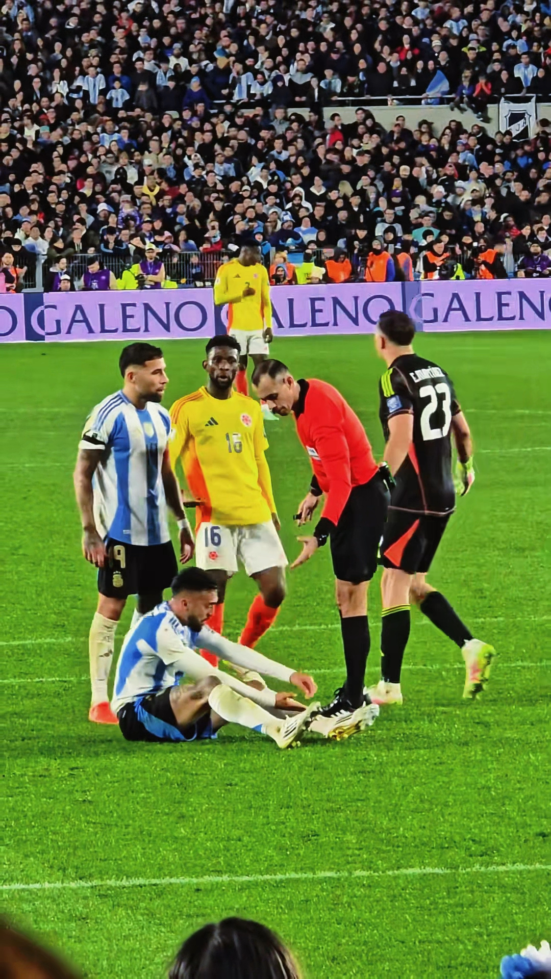 关于世预赛阿根廷VS哥伦比亚前瞻分析阿根廷取胜无忧的信息