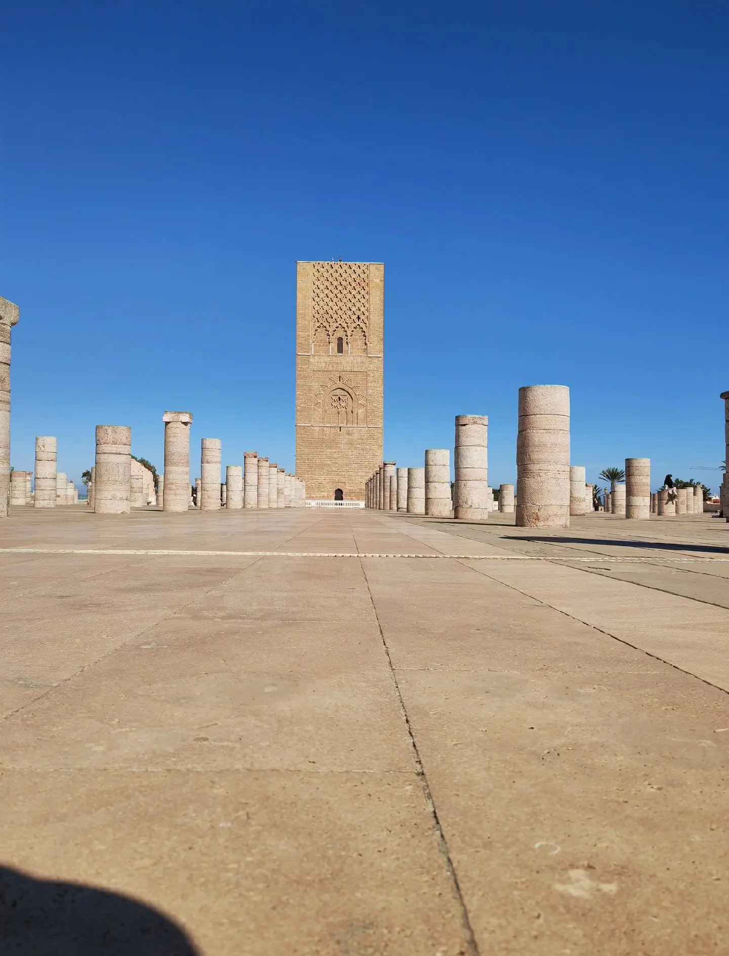 包含摩洛乙：SM拉巴特VS卡萨布兰卡竞技的词条