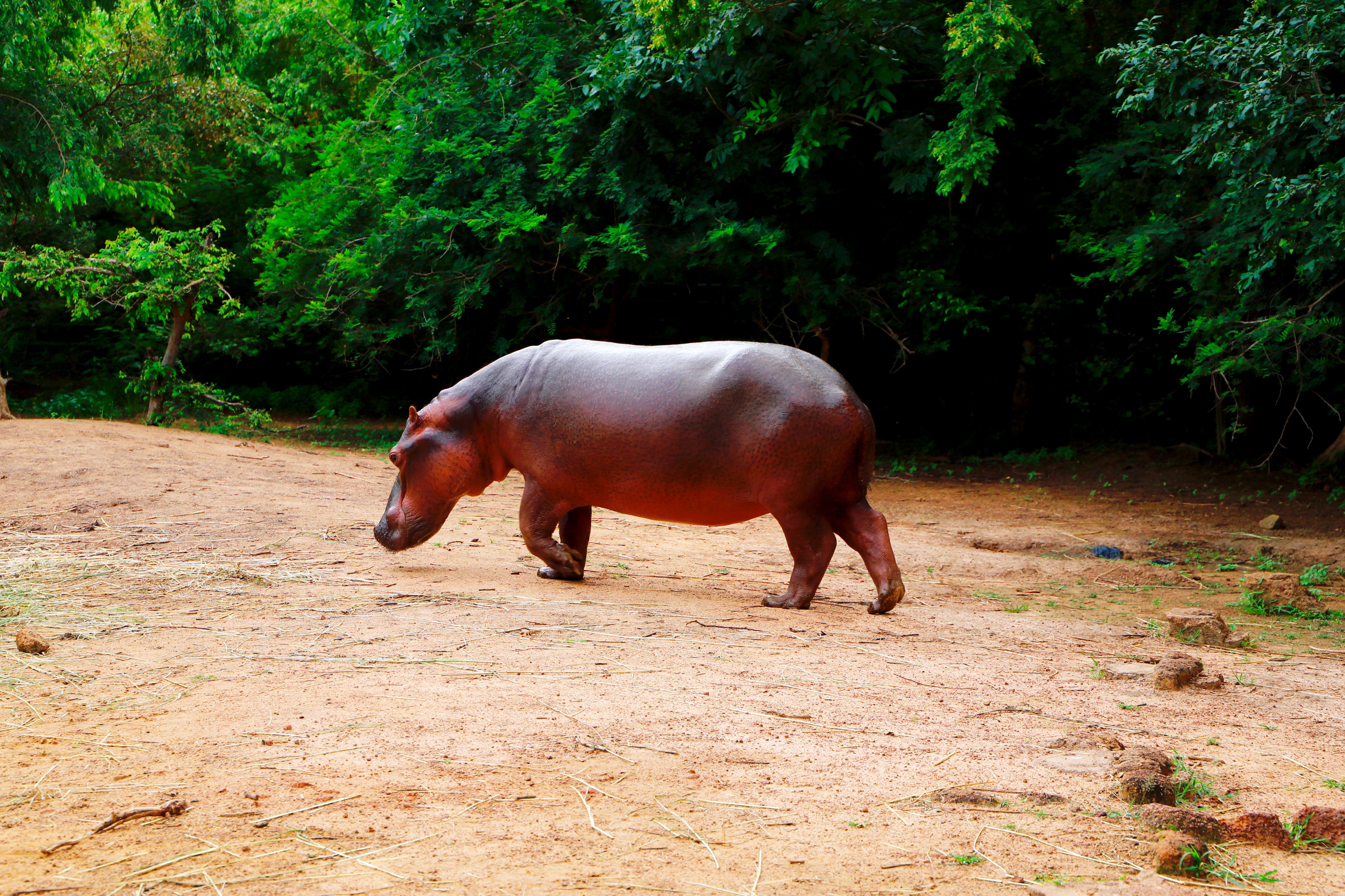 布基超:布基纳希望之星培训中心VS卡斯卡德体育 布基超:布基纳希望之星培训中心VS卡斯卡德体育