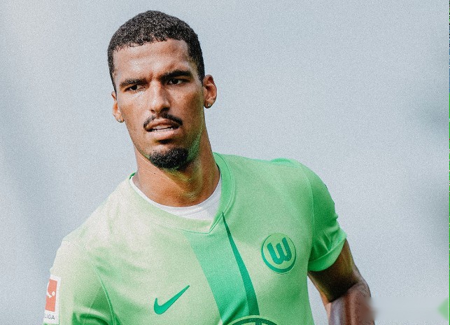 关于埃里克森加盟沃尔夫斯堡狼堡免签球员的信息  第2张