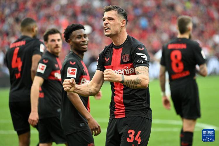 关于德国杯帕德博恩vs勒沃库森前瞻分析主队本赛季在德乙表现强势的信息  第2张