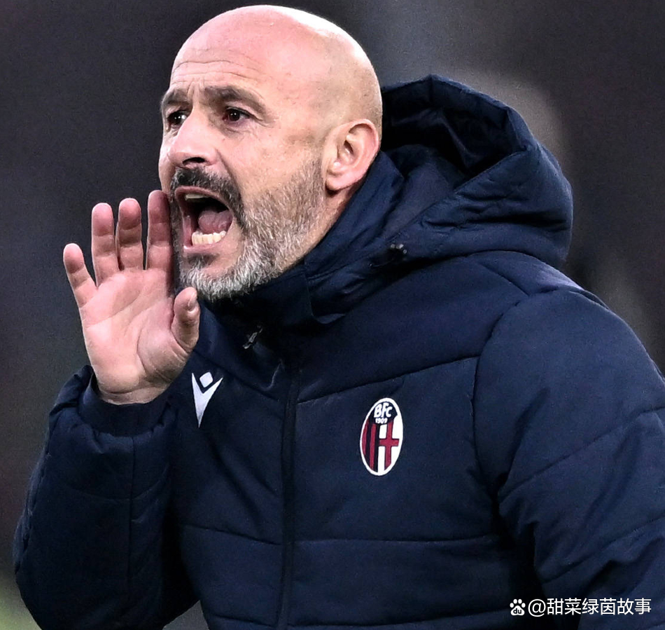 意甲帕尔马1-3博洛尼亚博洛尼亚客场逆转对手的简单介绍  第2张