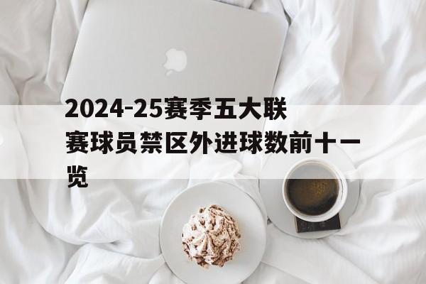 2024-25赛季五大联赛球员禁区外进球数前十一览的简单介绍  第1张