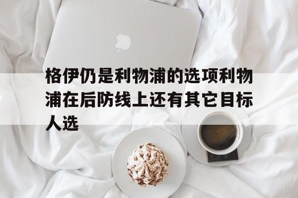 关于格伊仍是利物浦的选项利物浦在后防线上还有其它目标人选的信息 关于格伊仍是利物浦的选项利物浦在后防线上还有其它目标人选的信息