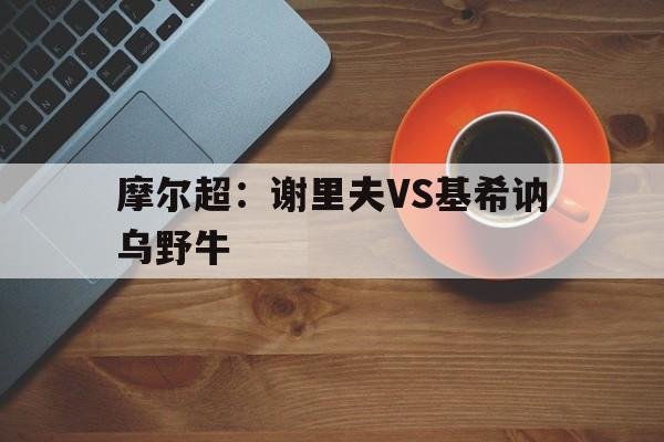 摩尔超：谢里夫VS基希讷乌野牛