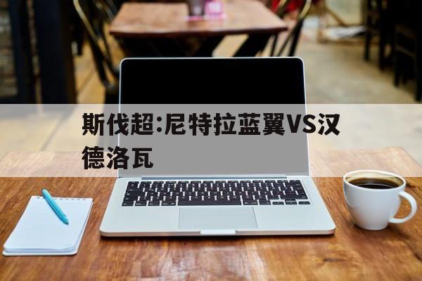斯伐超:尼特拉蓝翼VS汉德洛瓦的简单介绍