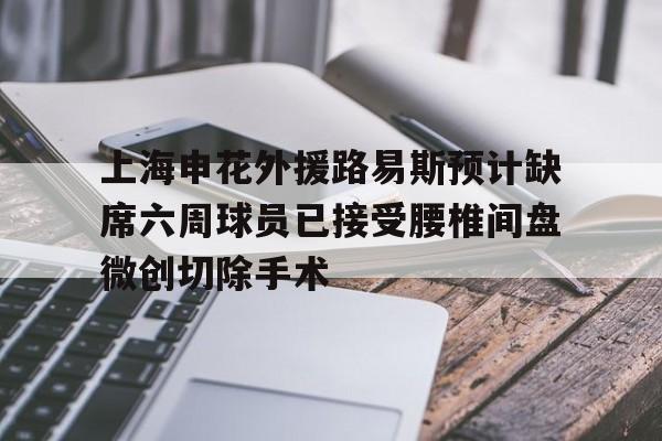包含上海申花外援路易斯预计缺席六周球员已接受腰椎间盘微创切除手术的词条 包含上海申花外援路易斯预计缺席六周球员已接受腰椎间盘微创切除手术的词条
