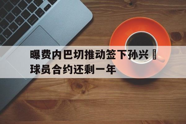 关于曝费内巴切推动签下孙兴慜球员合约还剩一年的信息