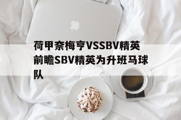 荷甲奈梅亨VSSBV精英前瞻SBV精英为升班马球队的简单介绍