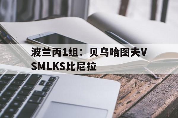 波兰丙1组：贝乌哈图夫VSMLKS比尼拉的简单介绍